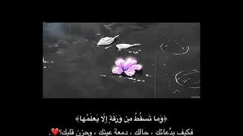 راحة نفسية 💜 || تلاوة هادئة للقارئ شريف مصطفى | حالات واتس اب دينية قرآن | أرح سمعك| أخمد حزن قلبك