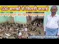 बत्तक पालन की शुरुआत ऐसे ही करें।500 duck से कितनी कमाई होती है। duck farming in india