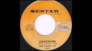 Video thumbnail of "New Colony Six - Sunshine (1966)"