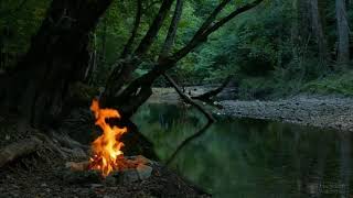 Relaxing sounds of Campfire by the river, sounds of nature HD Relaxing Music