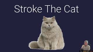 Stroke the Cat ~ [100% Trophy Gameplay, PS5]