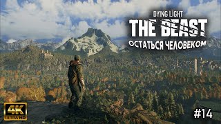 Остаться человеком в Dying Light: The Beast | В поисках лекарства | 14 часть
