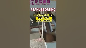 Peanut Color Sorter, User