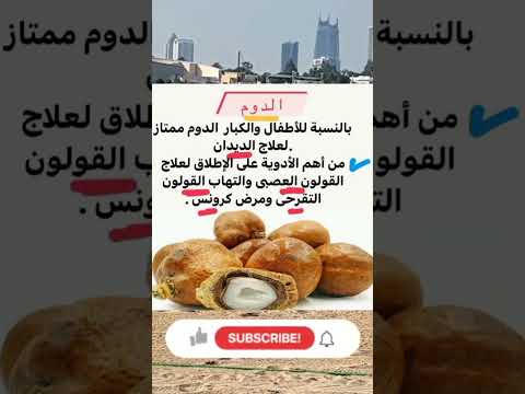 اعرف فوائد الدوم غذاء صحي صحه ترند
