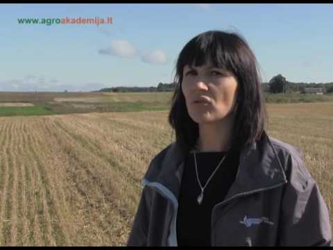 Video: Tinkamai Sutvarkytas Kompostas Vietoje Padės Padidinti Dirvožemio Derlingumą Ir Padidinti Derlių šiltnamiuose Ir Sodo Lovose