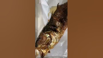 cakalang bakar #ikanbakarenak #indonesianfood