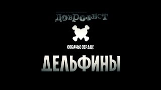 Video thumbnail of "СОБАЧЬЕ СЕРДЦЕ ДЕЛЬФИНЫ LIVE"