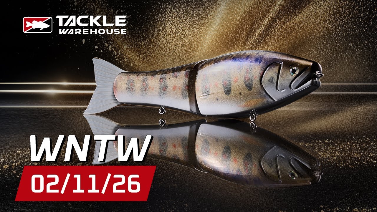 BIG FISH Special with A-Train! Exclusive Throwback Colors, NEW