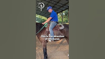 Quick Tip #2 To Become A Confident Rider! | The Horse Guru - Michael Gascon