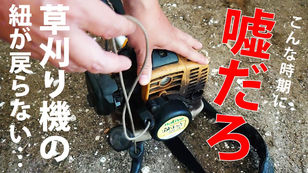 4枚 カサブランカ 信じていたのに裏切られるなんて！ 4枚