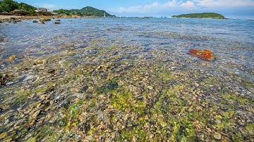 Clear Sea Photoshop CC Tutorials 104 By Stopbox [Photoshop CC,Nik Software]