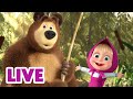 🔴 AO VIVO 👱♀️🐻 Masha e o Urso ☀️ Qual é o som da manhã? ☀️ Masha and the Bear