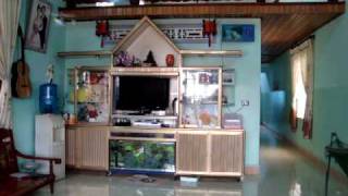 SOLO PRO II _ DUOI DAI.MPG