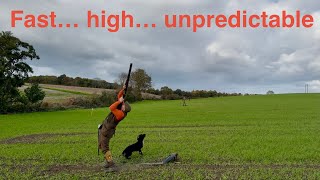 видео: Фантастическая стрельба, проверка моих способностей!! картинка: Фантастическая стрельба, проверка моих способностей!!