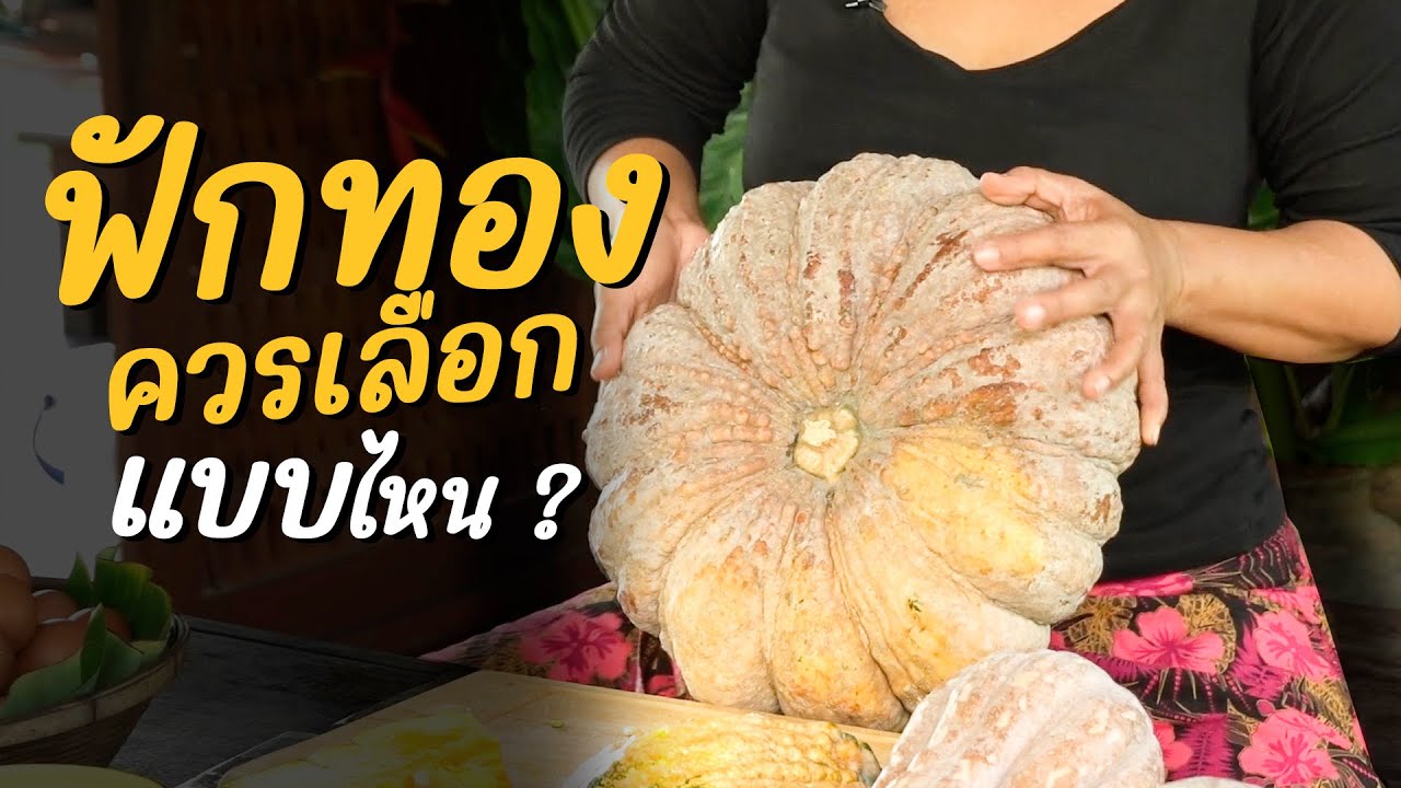 วิธีเลือกฟักทอง