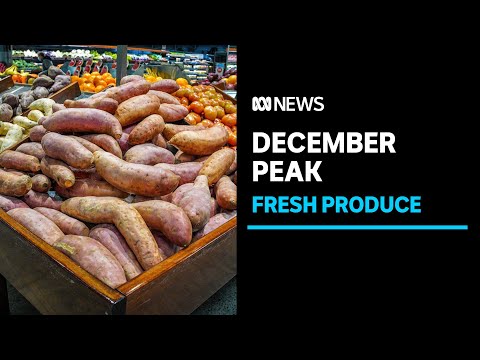 Farm export values push to near record high despite challenging east coast conditions | abc news