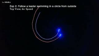 Leader-Follower 3D formation for Underwater Robots (DARS 2024)