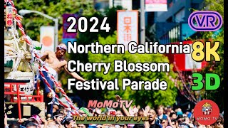 【360° VR】2024 Northern California Cherry Blossom Festival Grand Parade -8K 3D 360 VR Video #Insta360