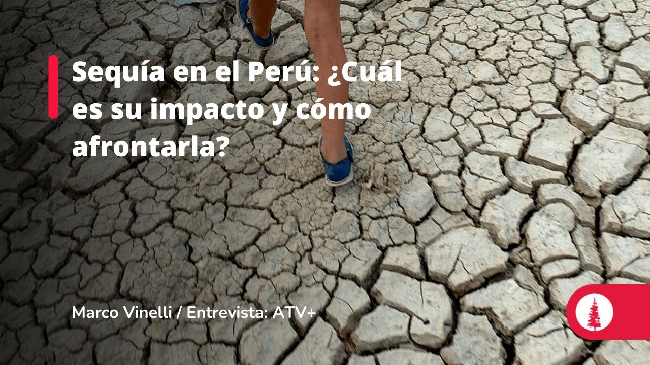 Sequía en el Perú: ¿Cuál es su impacto y cómo afrontarla?