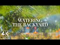 Soothing Backyard Watering: 4K Screensaver with Waterdrops &amp; Rainbow