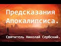 Проповедь в царстве Антихриста. Сквозь вопль человеческого отчаяния. Святитель Николай Сербский.