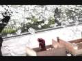 a thousand miles (jrock)
