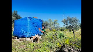 THE REALITY OF OFF THE GRID HOMESTEAD by Portugal It Is 11,103 views 1 month ago 34 minutes