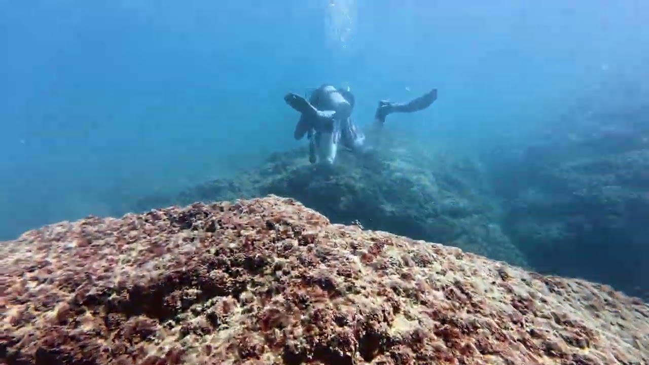 🌊 Underwater Caesarea – Ancient Ruins & Marine Life 🐟