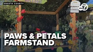 Shasta Lake's new Paws & Petals Farmstand aiming to support shelter animals