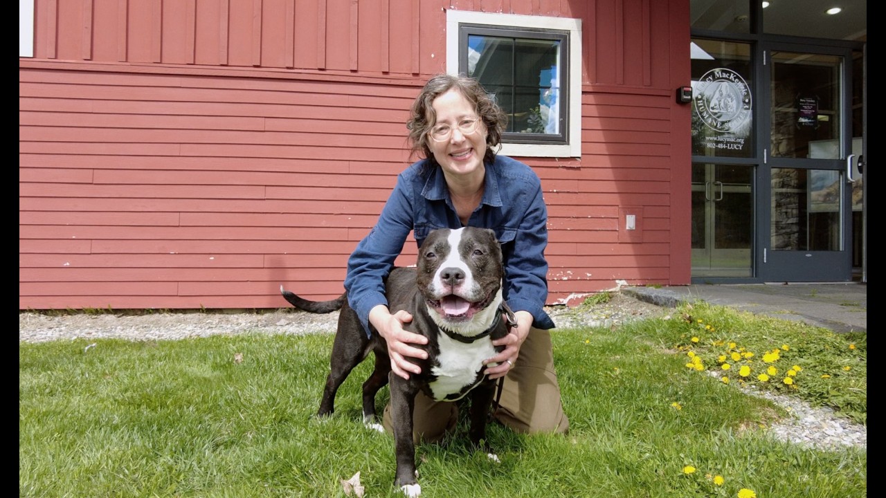 Come along with our host and volunteer, Rebecca Haynes as we meet dogs, new resident, Lilly and Louie, the shelter's longest resident.  This month's cat feature includes two very acrobatic cats, Honeycomb and Kinder, and a wonderful, sweet tom cat named Milo. Spread the word to help this pets find a new home.