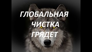 Бойкот выборов! Все 