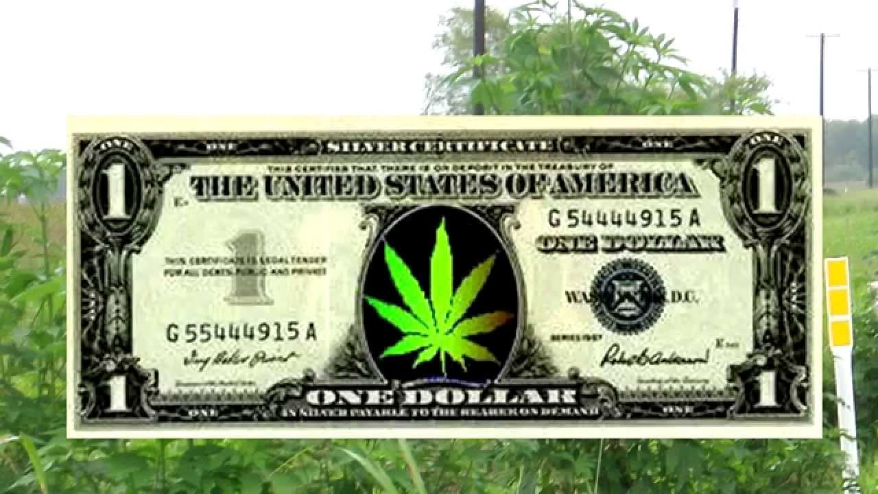 Lets All Grow Some Weed "Official Music Video" Subject 2 Change