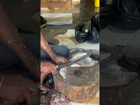 Fish Cutting Video ! Fast and simple #fishfry #cuttingskills #fastcuts #backscratcher #freshcut