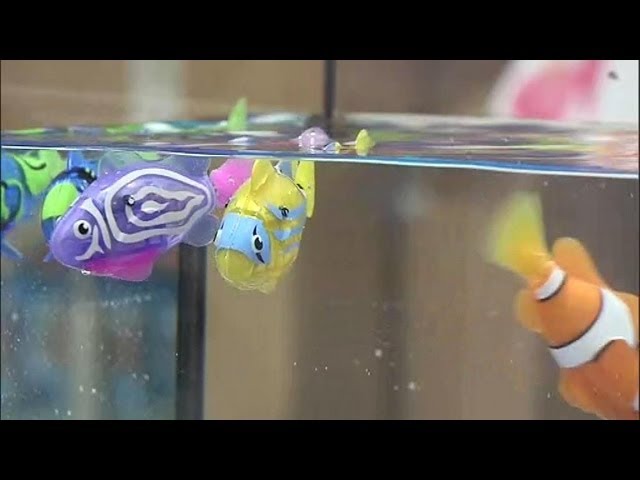Jouets: le Robot Fish explose toutes les ventes - 08/08 