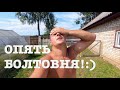 #64. Июльский мини-отчет. Ответы на вопросы. [Жизнь на своей земле]