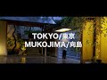 東京向島　藝妓宴會　高級料亭　日本傳統文化體驗　歡迎台灣人的遊客　請隨意詢問