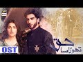 Watch Thora Sa Haq OST | Shafqat Amanat Ali | ARY Digital Drama Online In Hd