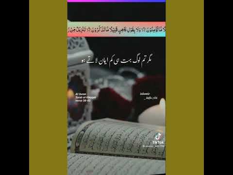 Al Quran Status | Tilawat Quran Urdu Translation | القرآن | ISLAMIC | Islamic | Allah |#shorts