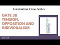 Gate 38- INCARNATION CROSS- TENSION, OPPOSITION AND INDIVIDUALISM