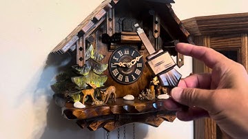 Another frequently asked question about Cuckoo Clocks!