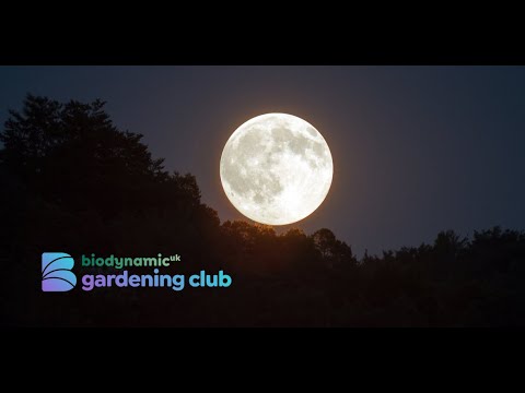 Video: Lunar sowing calendar of the gardener and the gardener for 2022