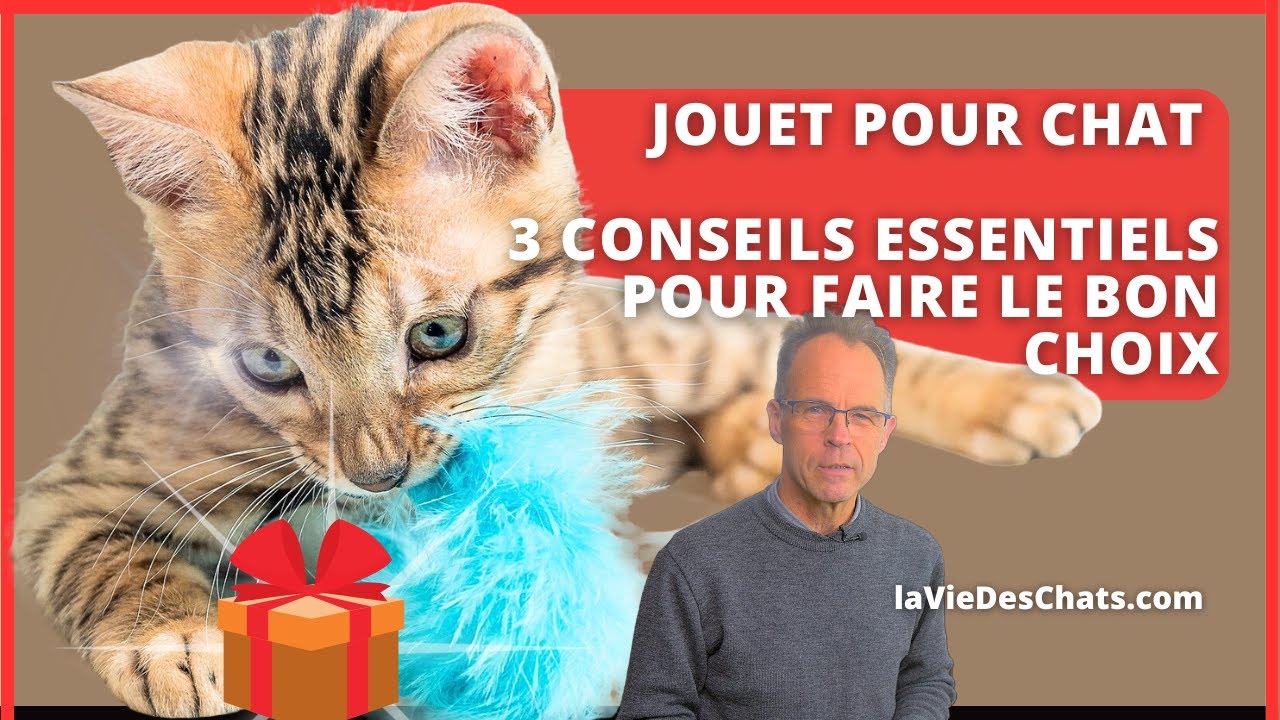 JOUET POUR CHAT, 3 CONSEILS ESSENTIELS POUR FAIRE LE BON CHOIX