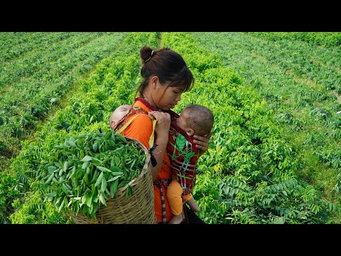 Single mother, Harvesting green vegetables to sell at the market, Finishing bamboo floors, Cooking