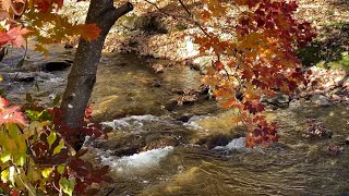 Fall in the North Carolina Mountains Produced by Mary Young Photography