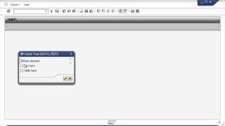 Celebrity SAP ABAP - Data Types Net Worth