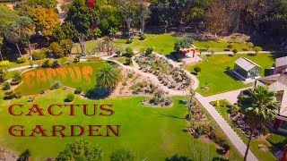 Benefits of cactus, Facts about Cactus, Cactus Garden Panchkula Sector 5, Haryana