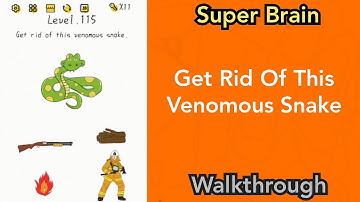 Super Brain - Get Rid Of This Venomous Snake - Level 115