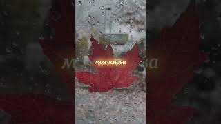 русско-арабский тик-ток #2025 #трендытиктока #tiktok #музыка #tiktokvideo