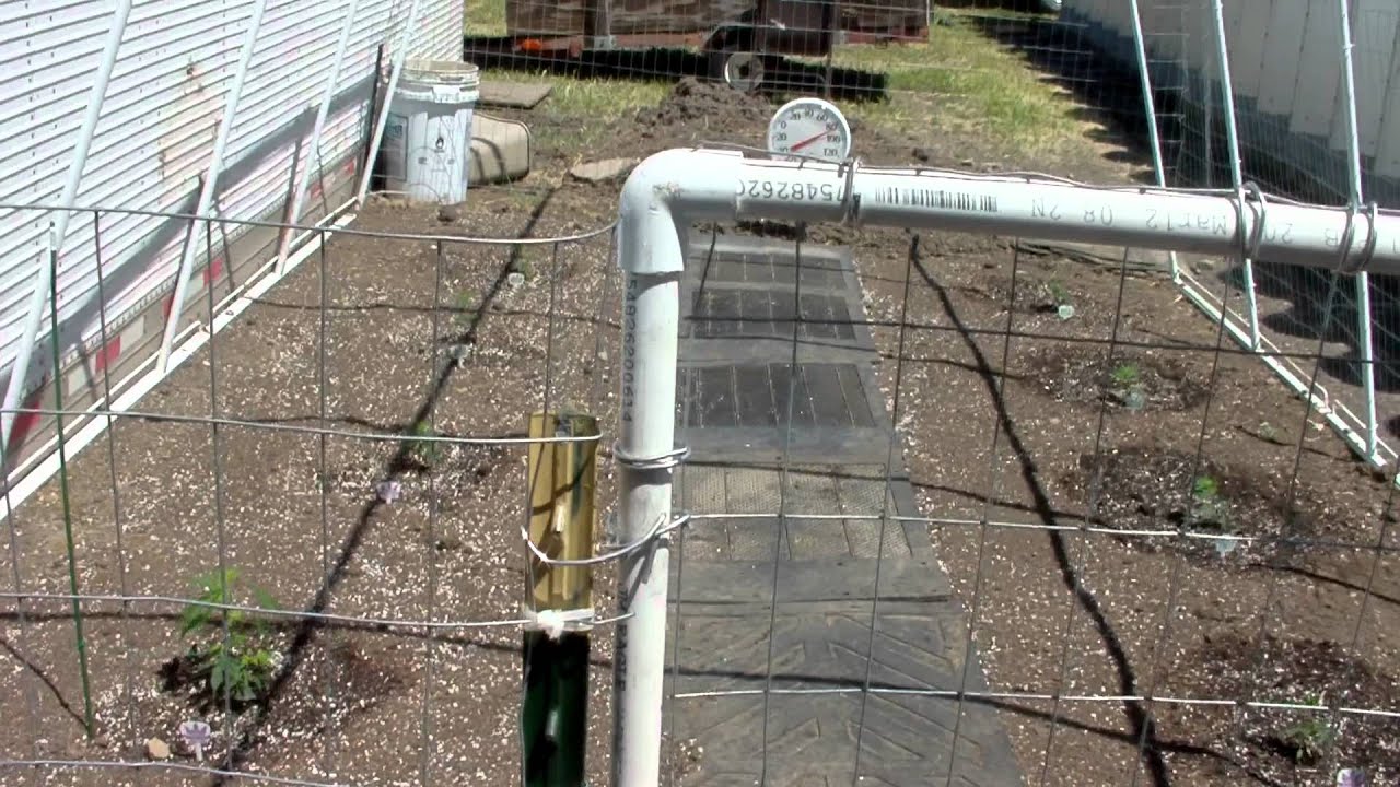 OUTDOOR CANNABIS GARDEN, MAY 2011