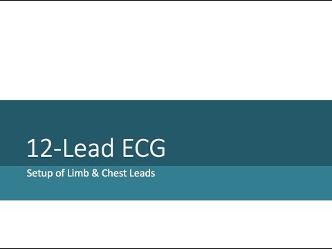 4.2-12 Lead ECG Setup environmental tech